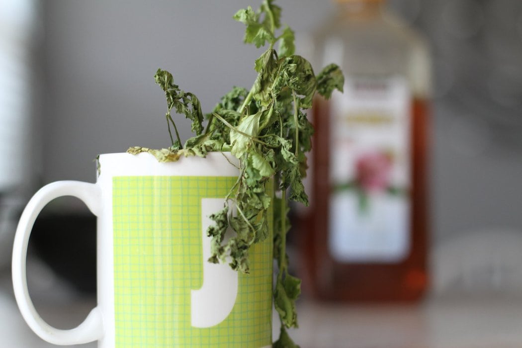 Dry cilantro in a mug.