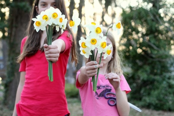 Two girls holding daffodil bunches.