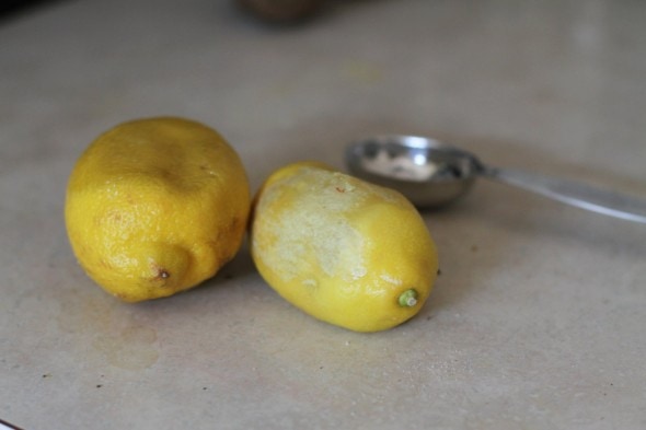 squishy lemons