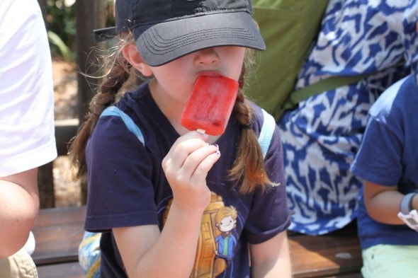 Magic Kingdom popsicle