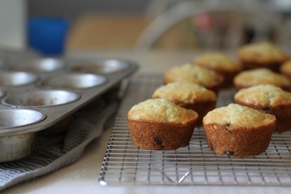 chocolate chip banana muffins