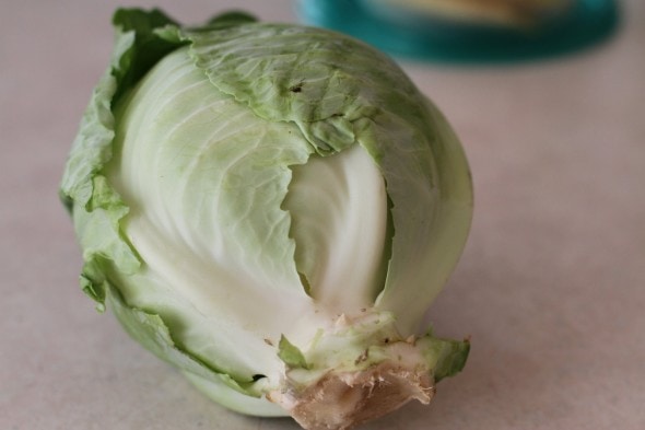 local cabbage