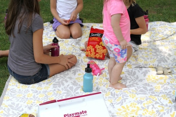 picnic lunch