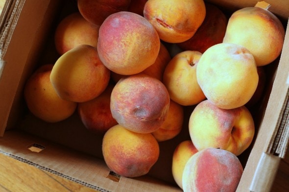 discounted bruised peaches