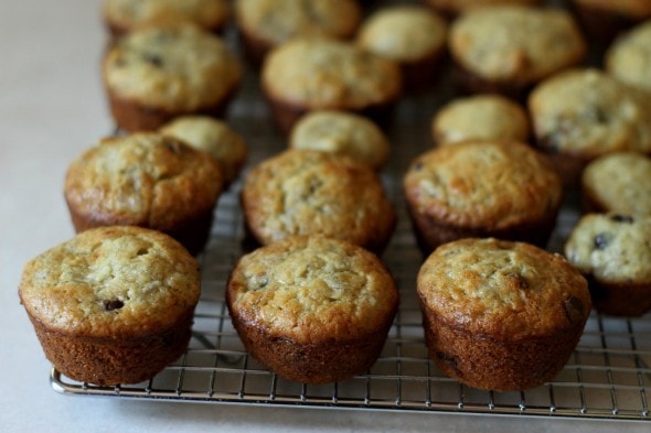 banana chocolate chip muffins