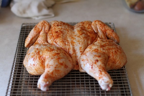 how to make a spatchcocked roasted chicken