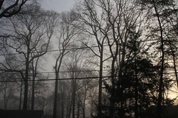 foggy December morning