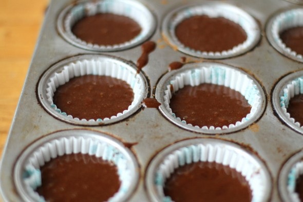 chocolate cupcakes