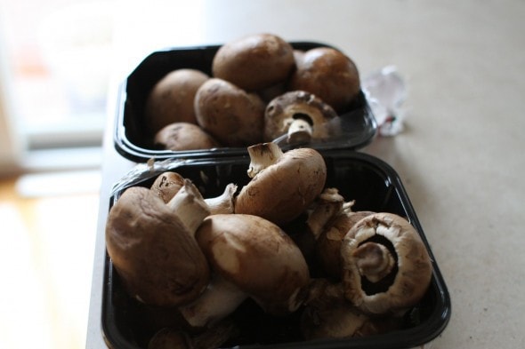 rotten mushrooms