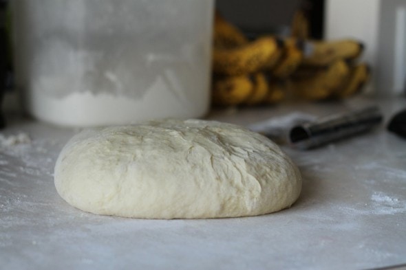 kneaded bread dough
