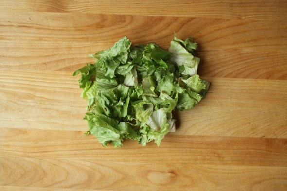 rotten lettuce
