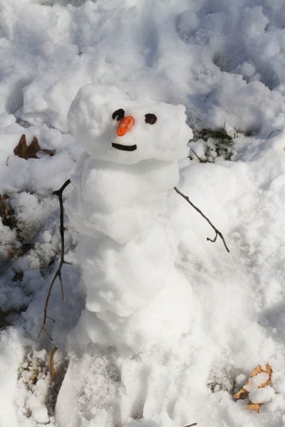 bunsen the snowman