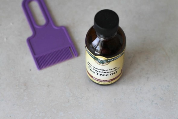 tea tree oil for lice