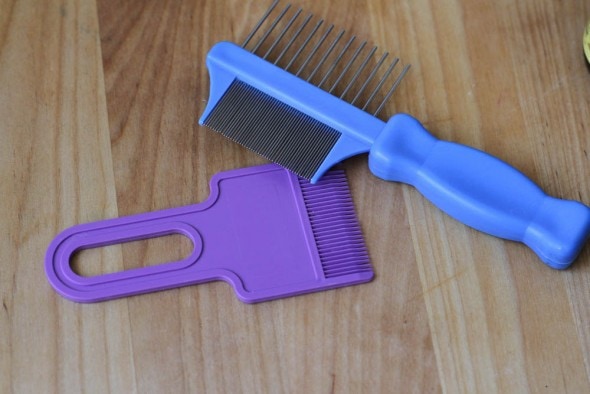 nix and rid lice combs