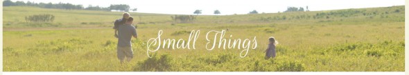 Small Things — - Mozilla Firefox 2282015 20746 PM