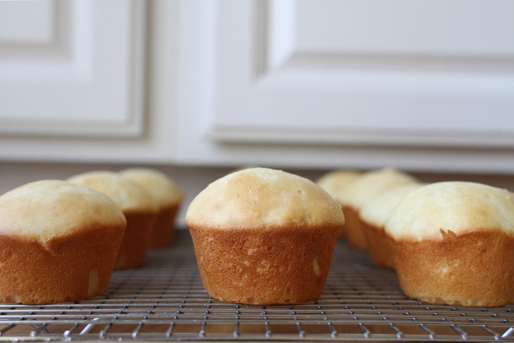 NoKnead Batter Rolls The Frugal Girl