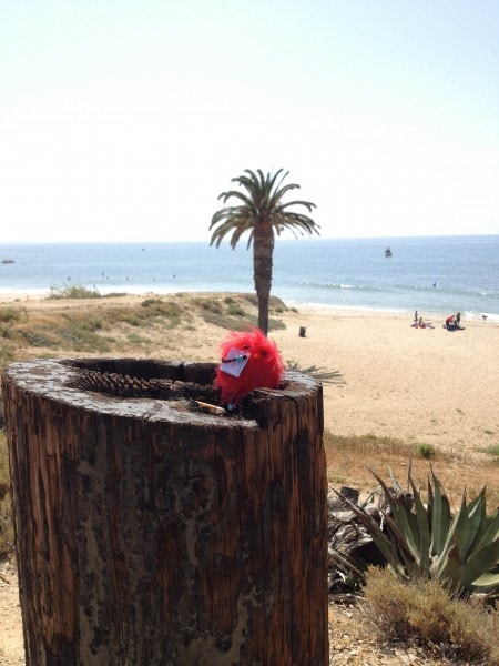 travelwee in CA