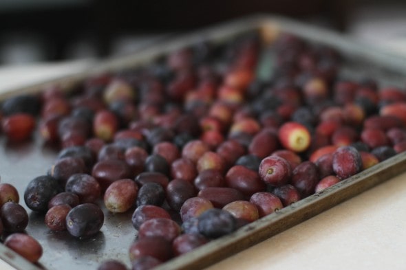 freezer soft grapes for smoothies