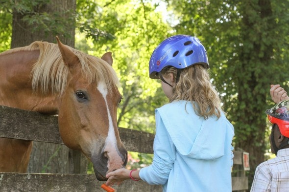 Sonia feeding the horse