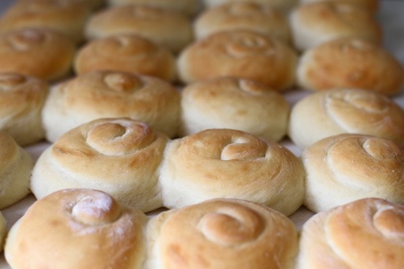 potato rolls