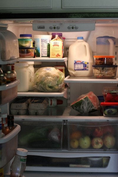 fridge after cleanout