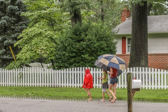 a walk in the rain