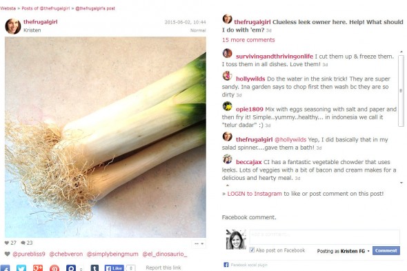 Kristen @thefrugalgirl Clueless leek own...Instagram photo  Websta (Webstagram) - Mozilla Firefox 652015 81413 AM