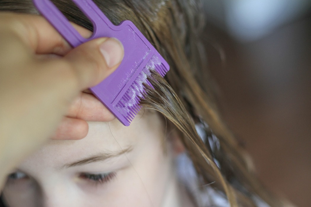 How to get rid of lice with tea tree oil (instead of insecticide) The