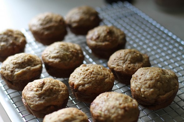 summer squash muffins
