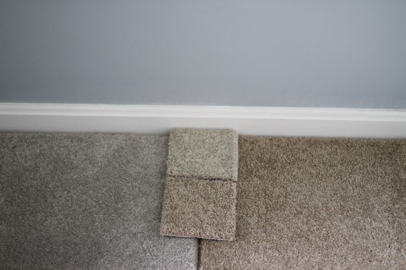 carpet color choices