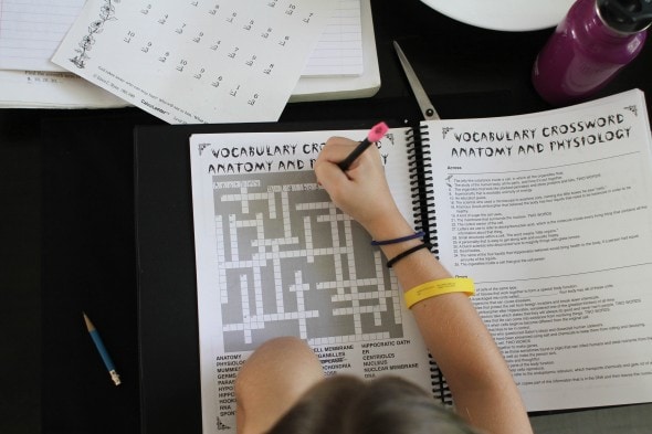 homeschool crossword