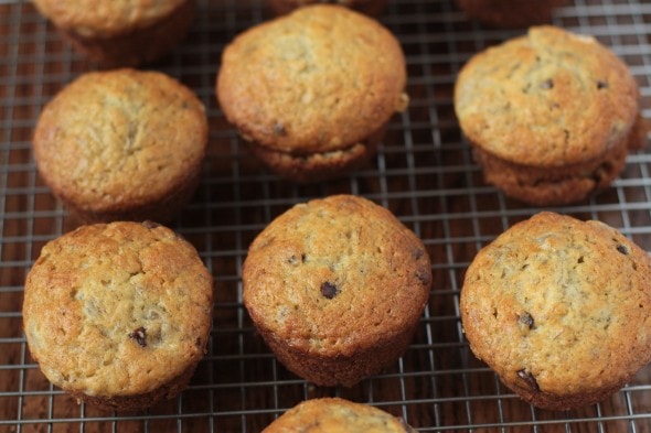 banana chocolate chip muffins cooling on a wire rack