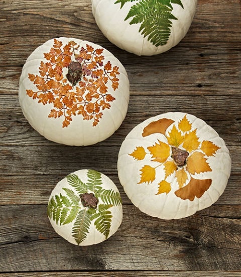 10 Classy Fall Crafts - Decoupage Pumpkins