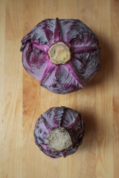 red cabbage