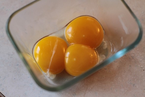 egg yolks