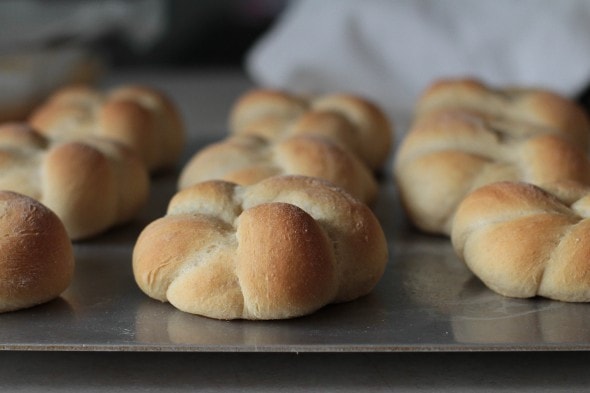 whole wheat rolls