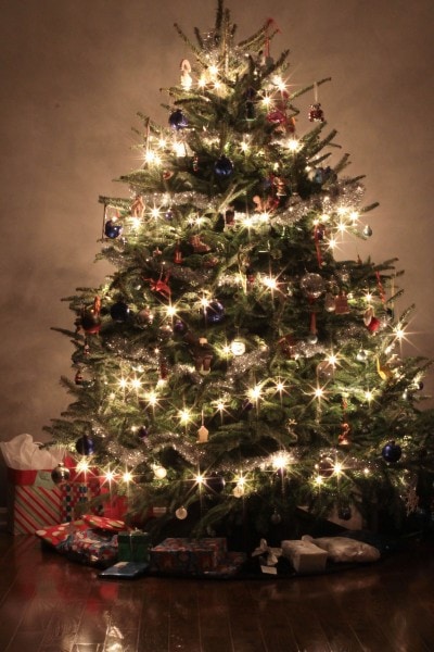 FG Christmas tree