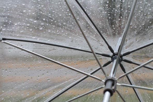 raindrops on a clear umbrella.