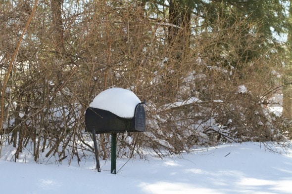 mailbox in snow