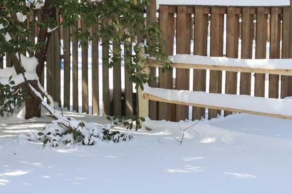 snow on split rail