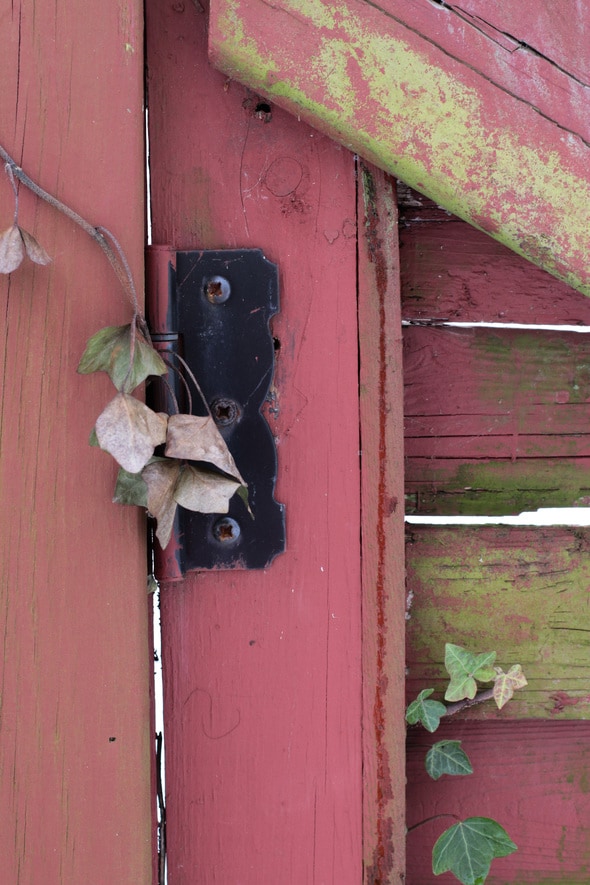 painted red fence.
