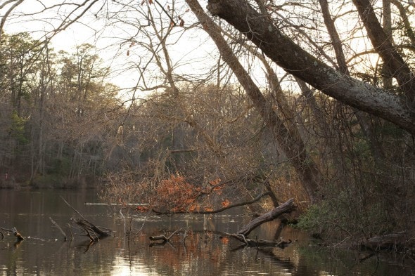 March lake scene