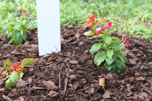 mailbox flowers