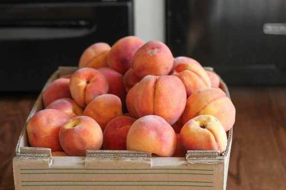 bruised peaches in a cardboard box.