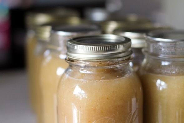 Mason jars full of homemade applesauce.