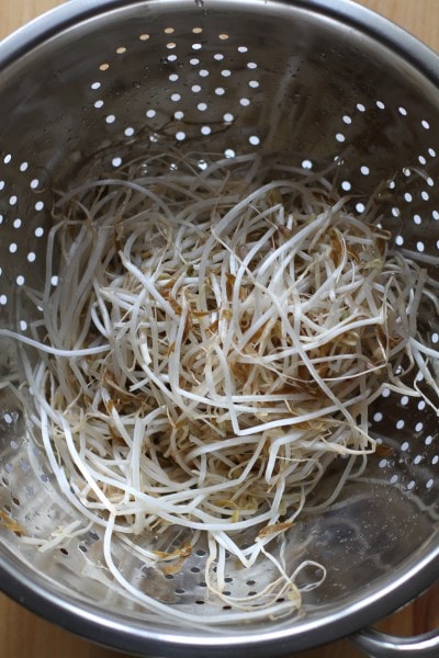 bean sprouts