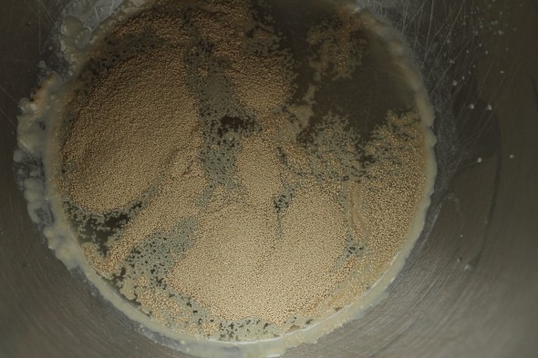 dissolve yeast in mixer bowl