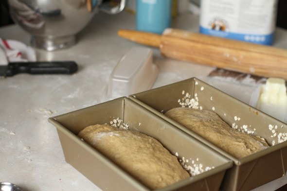 bread dough ready for rising