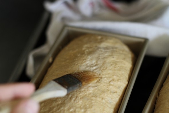 brush loaves with water