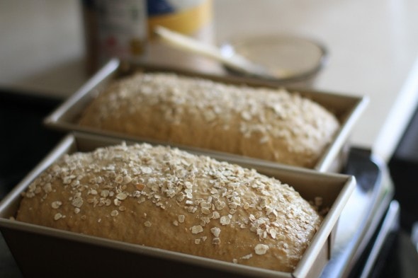risen oatmeal bread